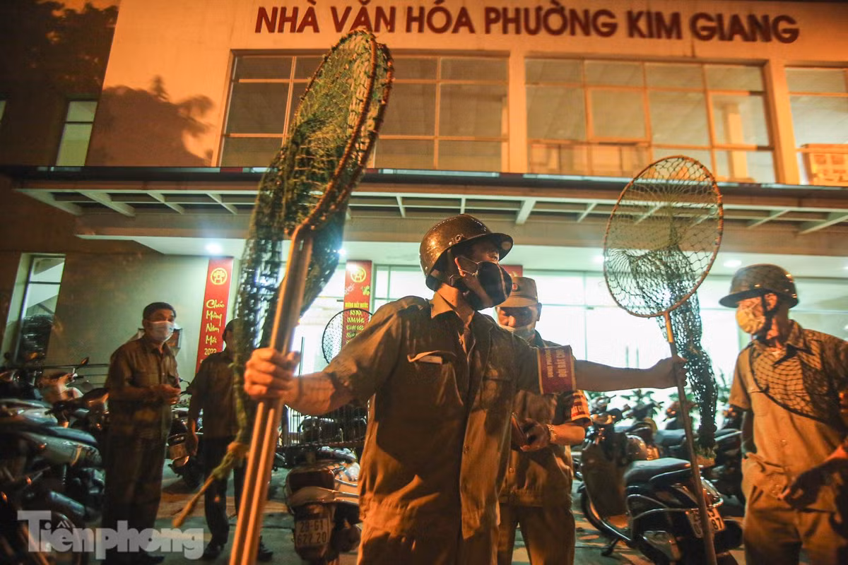 Can canh to doi bat cho tha rong o Ha Noi
