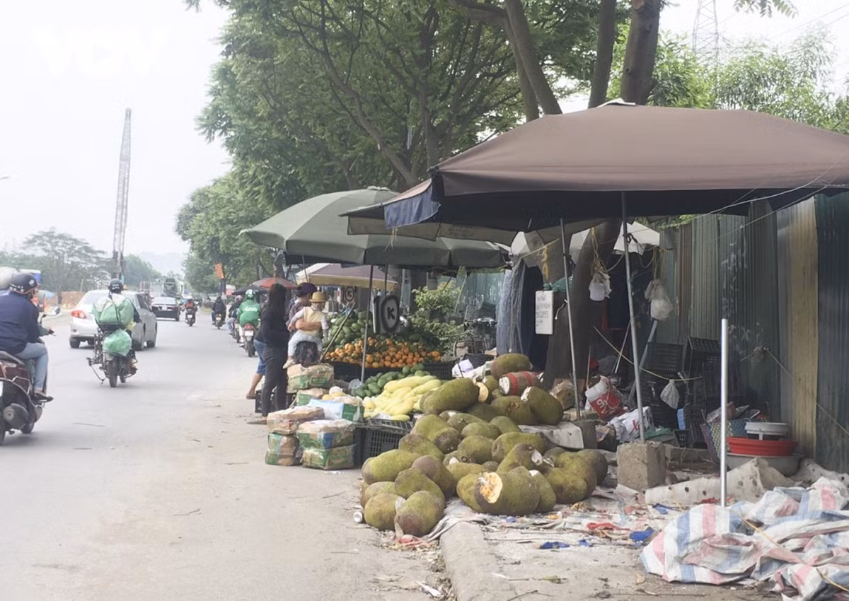 Trên tuyến đường này, “chợ” hoa quả họp suốt ngày. Người dân bày lỉnh kỉnh đồ đạc lên vỉa hè, hoa quả chất thành từng đống.