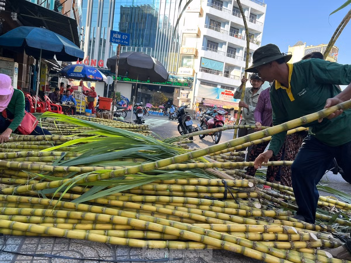 Mía vàng được gia đình anh Trần Ngọc Vân (Tiền Giang) bắt đầu trồng từ tháng 5 năm ngoái, đến tháng Giêng mới thu hoạch. Năm nay, anh Vân đưa đến TPHCM khoảng 2 tấn mía vàng, bán với giá từ 60.000 - 80.000 đồng/cặp (tùy lớn nhỏ). Giá này không tăng so với mọi năm.