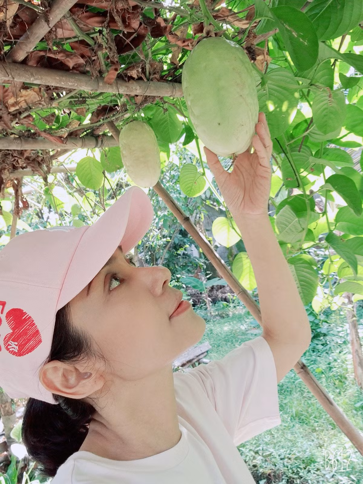 Khu nông trại của cô trồng đủ loại rau củ quả như cam, mít, dừa, bưởi, ổi, xoài, cóc...