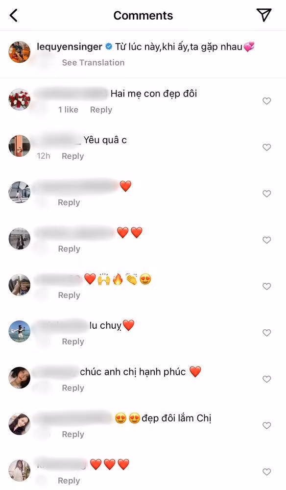 Ngoài những lời chúc phúc cho cặp đôi "chị em" và khen tặng cho nhan sắc mộc mạc của Lệ Quyên, cũng có cả hội antifan trà trộn để mỉa mai "2 mẹ con đẹp đôi".