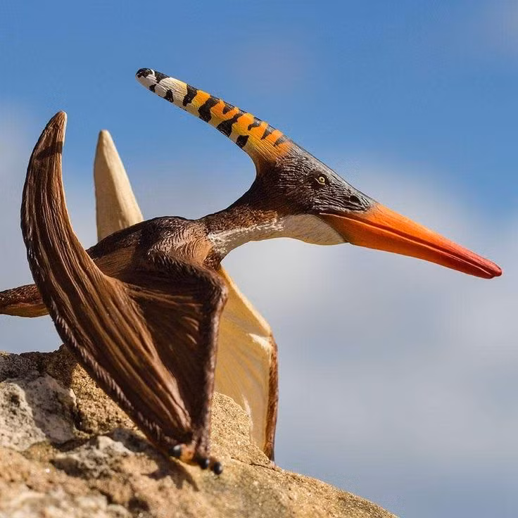  Cấu trúc xương rỗng: Giống như nhiều loài bò sát bay khác, xương của Pteranodon rất mỏng và rỗng để giảm trọng lượng, giúp chúng bay tốt hơn. Ảnh: Pinterest.