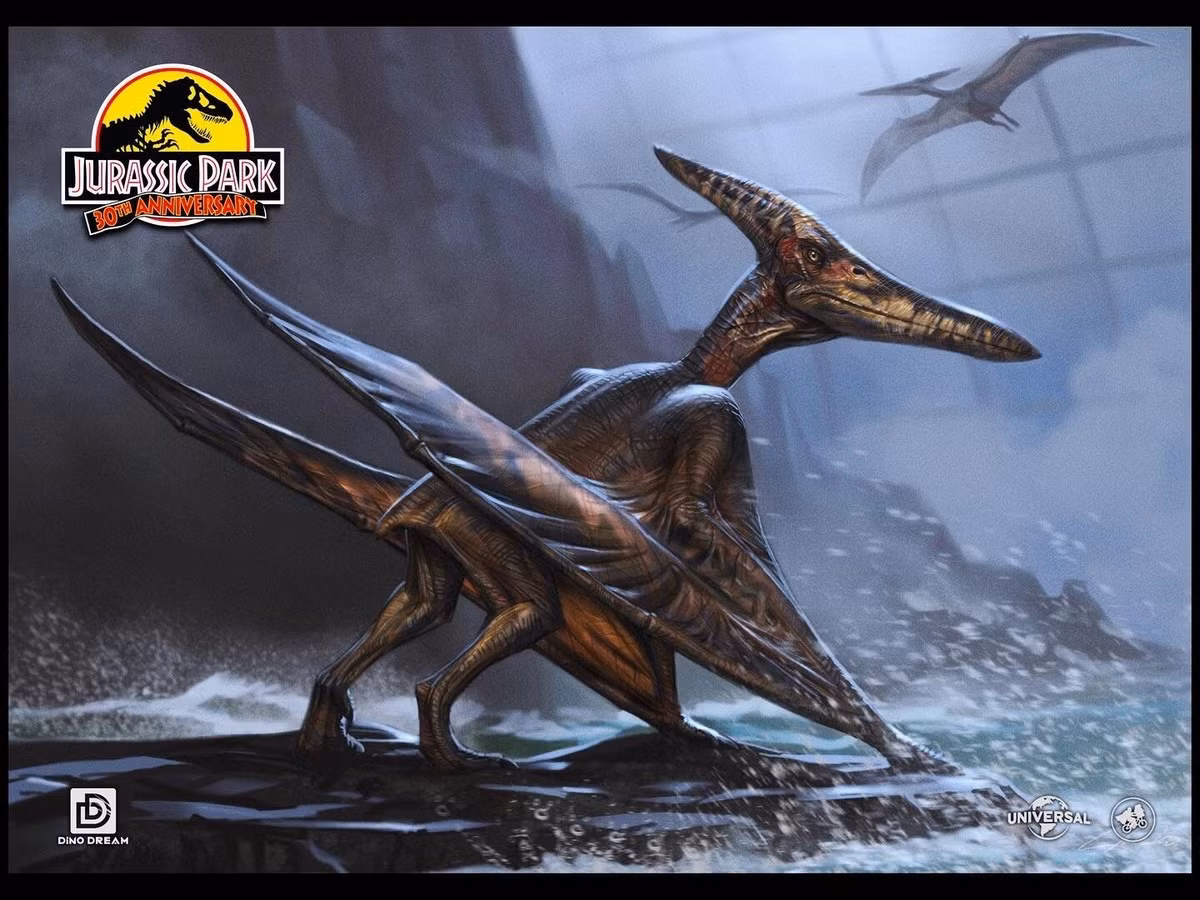  Không thể cất cánh từ mặt đất phẳng: Vì chân yếu, Pteranodon cần nhảy từ vị trí cao hoặc sử dụng gió để bay lên. Ảnh: Pinterest.
