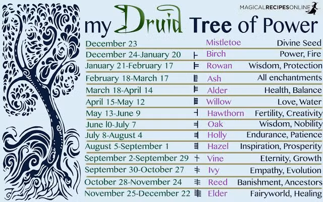  9. Chiêm tinh học Celtic (Druid). Xuất phát từ các nền văn hóa Celtic cổ đại ở châu Âu; dựa vào các chu kỳ thiên nhiên, đặc biệt là cây cối và động vật; mỗi người được gắn với một "cung cây" hoặc "cung động vật" theo ngày sinh; tập trung vào mối quan hệ giữa con người và tự nhiên. Ảnh: Pinterest.