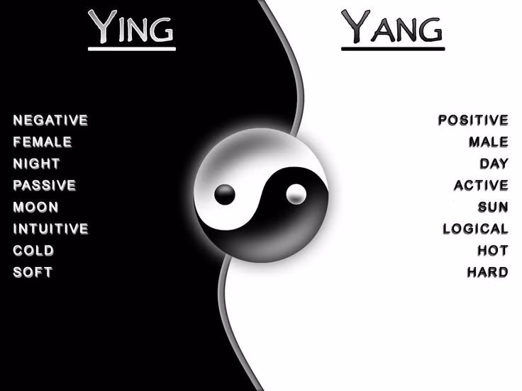  6. Lý thuyết về "tương phản". Đạo Lão nhấn mạnh sự tồn tại của các đối lập và tương phản trong vũ trụ: sáng tối, cứng mềm, mạnh yếu. Chúng không thể tách rời và tạo thành một sự cân bằng hài hòa. Ảnh: Pinterest.