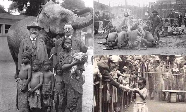  5. Thuyết ưu sinh. Vườn thú người được sử dụng để củng cố thuyết ưu sinh (eugenics), cho rằng người châu Âu là giống loài "tiến hóa" hơn. Họ lợi dụng thuyết Darwin để biện minh cho quan điểm các dân tộc bị trưng bày là "dạng người nguyên thủy". Ảnh: Pinterest.