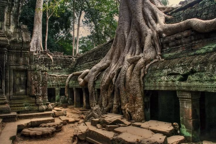  5. Sự pha trộn tôn giáo. Nền văn minh Khmer chịu ảnh hưởng mạnh mẽ từ Ấn Độ giáo, Phật giáo và tín ngưỡng bản địa. Sự chuyển đổi từ Ấn Độ giáo sang Phật giáo diễn ra trong thời kỳ Angkor. Ảnh: Pinterest.