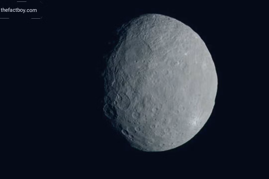  Ceres có thể có nước lỏng dưới bề mặt. Một số nghiên cứu chỉ ra rằng Ceres có thể có một lớp nước lỏng hoặc băng nằm dưới bề mặt của nó. Ảnh: Pinterest.
