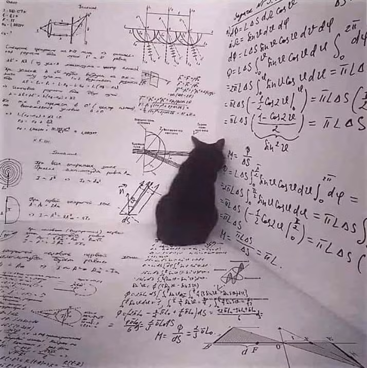  Nghịch lý con mèo Schrödinger: Một con mèo tưởng tượng trong hộp vừa sống vừa chết, cho đến khi bạn quan sát nó. Đây là cách minh họa siêu vị trí. Ảnh: Pinterest.