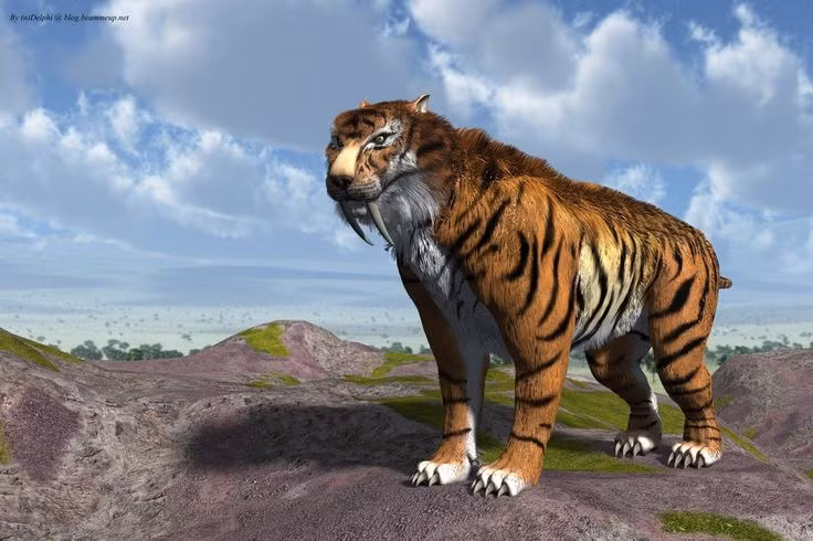  7. Chiến thuật săn mồi. Smilodon thường săn các loài động vật lớn, như voi ma mút hoặc lười đất khổng lồ, bằng cách phục kích và tấn công vào cổ hoặc các điểm yếu khác. Ảnh: Pinterest.