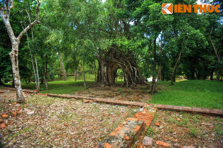 Phía sau cánh cổng bị cây "nuốt" là tàn tích nền móng của Tả tùng phòng. Công trình này từng là một khu nhà 3 gian, 2 chái, được xây làm nơi các thái giám ăn ở mỗi khi hộ giá vua lên thăm lăng.
