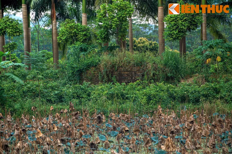Mặt phía Bắc của thành chạy dọc bờ sông, trong khi ba mặt được đào nhân tạo. Các hào này vẫn còn, hiện được dùng làm nơi trồng sen, thả cá.