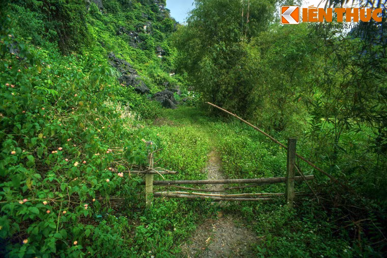 Lối vào lăng mộ vua Lê Đại Hành là một đường mòn nhỏ chạy men theo chân núi Mã Yên.
