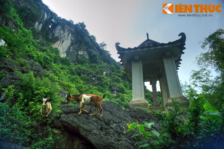 Do nằm ở một vị trí hẻo lánh và gần như bị bỏ hoang nên có rất ít người đến thăm viếng lăng mộ vua Lê Đại Hành.