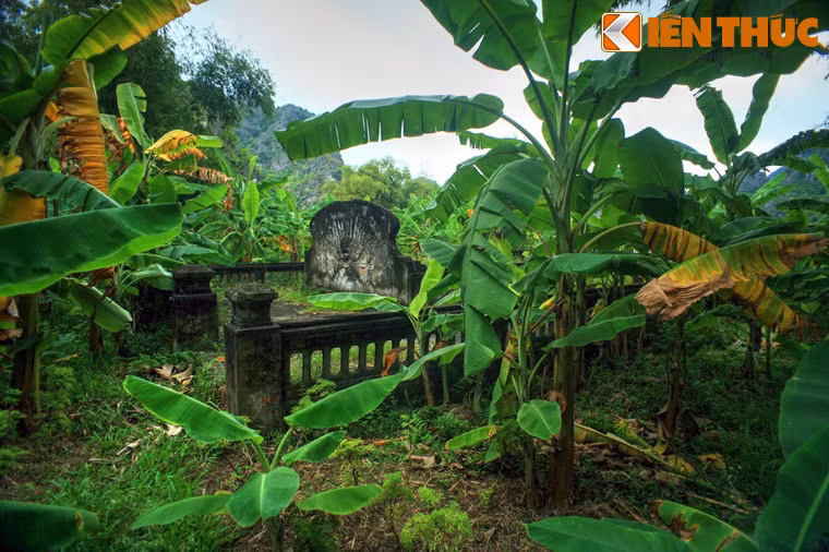 Đi hết lối mòn, khu lăng mộ hiện ra trong vẻ quanh hiu, bị che phủ bởi nhiều loại cây mọc dại.