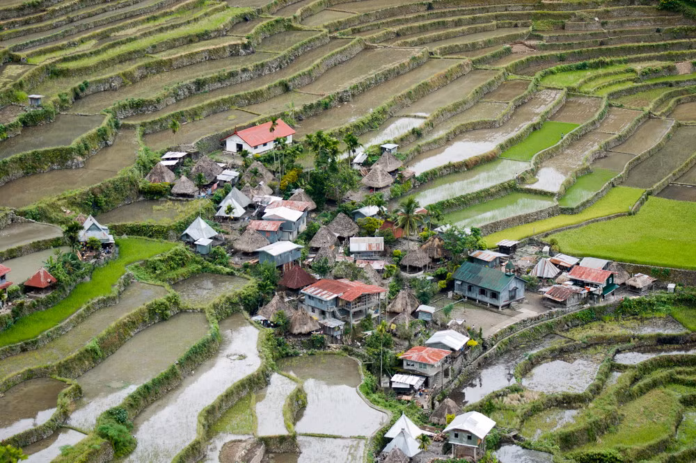 Tuy nhiên, sự biến đổi khí hậu kèm theo động đất nghiêm trọng đã ảnh hưởng đến hệ thống thủy lợi và gây ra xói mòn, đe dọa đến sự tồn tại của những thửa ruộng ngàn năm tuổi này.