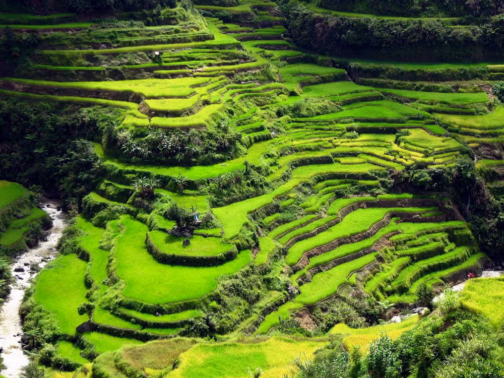 Các thửa ruộng ở nơi đây nằm ở chiều cao trung bình 1.500 m so với mực nước biển và nằm trên một diện tích 10.000 km2.