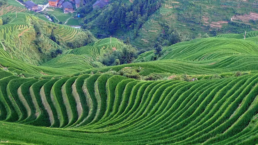 So với các nơi khác, ruộng bậc thang ở Banaue có mức độ quy mô và chiều cao đáng kinh ngạc.