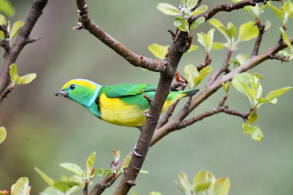 Ai sinh thang Am lich nay gat hai nhieu co hoi lam giau-Hinh-2