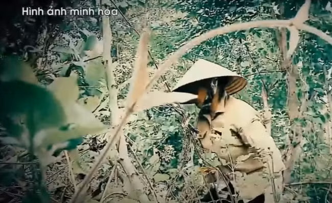 Để che giấu hành vi của mình, nữ hung thủ đã kéo thi thể 3 bà cháu xuống vườn cà phê ngay sau nhà mình, lấy cuốc đào một cái hố rồi chôn cả 3 nạn nhân xuống, lấp đất lại.
