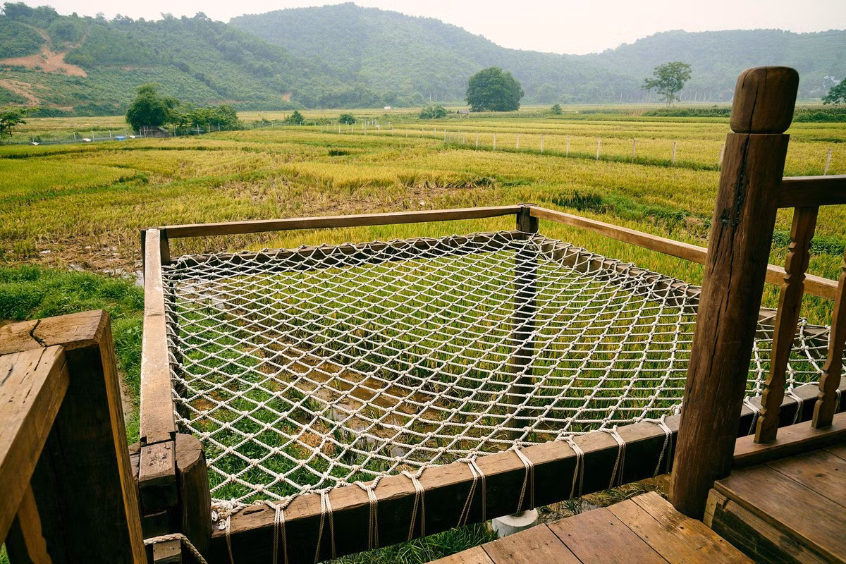 Khu nha go dung noi that tai che cua cap vo chong o Hoa Binh-Hinh-31