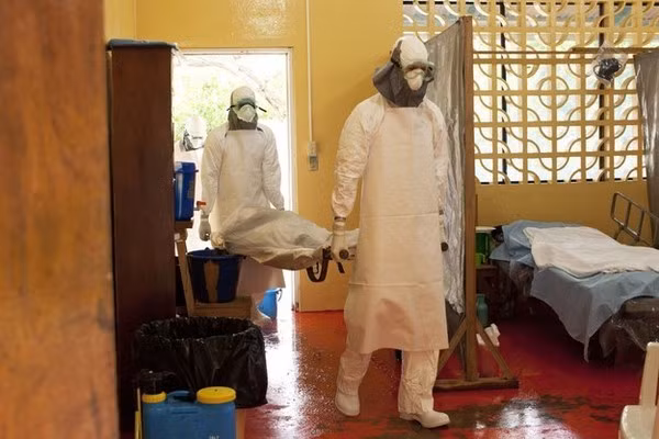 Nhằm ngăn chặn dịch bệnh Ebola vào Việt Nam, Bộ y tế đã đưa ra nhiều biện pháp như: Tăng cường giám sát khách nhập cảnh, giám sát các trường hợp nghi ngờ mắc bệnh trong cộng đồng.