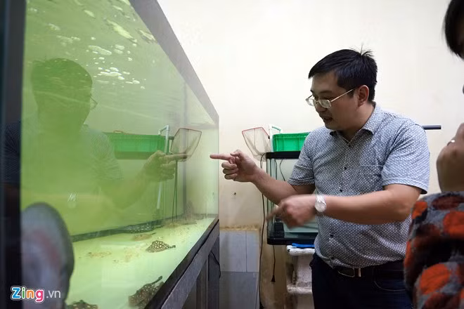 Có trường hợp sam bị cảm, anh Cường phải tách riêng để nuôi dưỡng và điều trị. Với những chú sam ốm quá yếu, anh chọn phương pháp tiêm trực tiếp thuốc điều trị với hi vọng "còn nước còn tát". Nhờ kinh nghiệm, nhiều trường hợp sam ốm đã được anh cứu sống thành công.