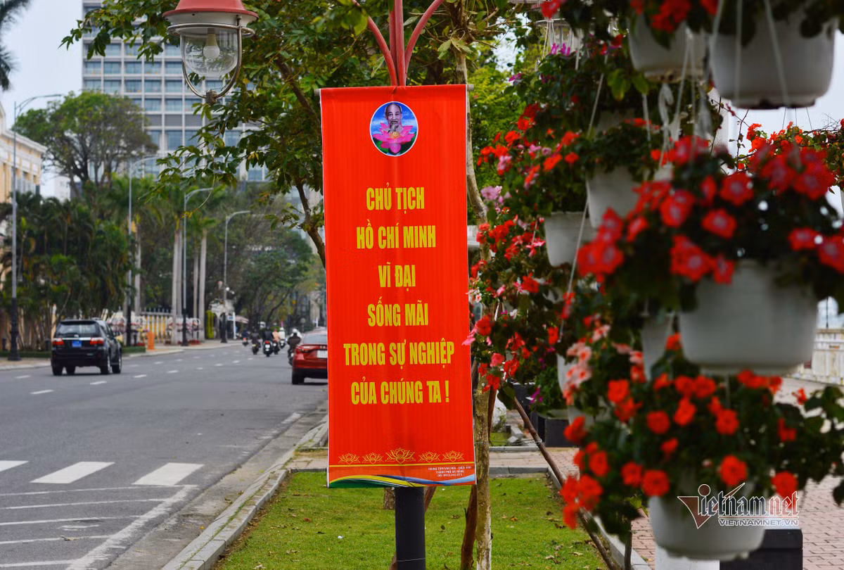 Duong pho Da Nang ruc ro co hoa chao mung Dai hoi Dang-Hinh-9