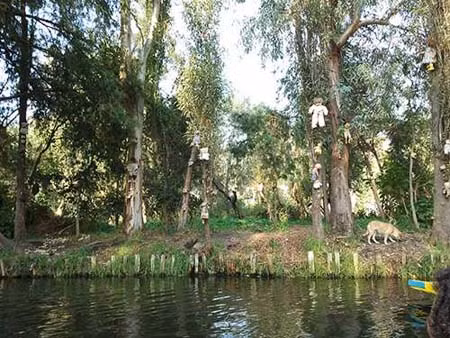Đảo La Isla de las Munecas là hòn đảo của những con búp bê rùng rợn nhất thế giới.