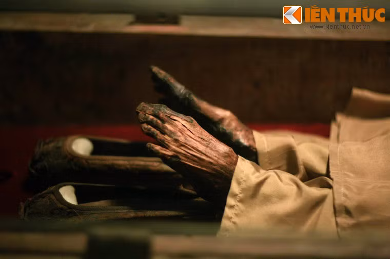 Sau khi khai quật, xác ướp bà Nguyễn Thị Hiệu đã được đưa về bệnh viện Đại học Y dược để nghiên cứu. Sau đó xác ướp được chuyển đến Bảo tàng Lịch sử Việt Nam để lưu giữ và trưng bày cho đến ngày nay.