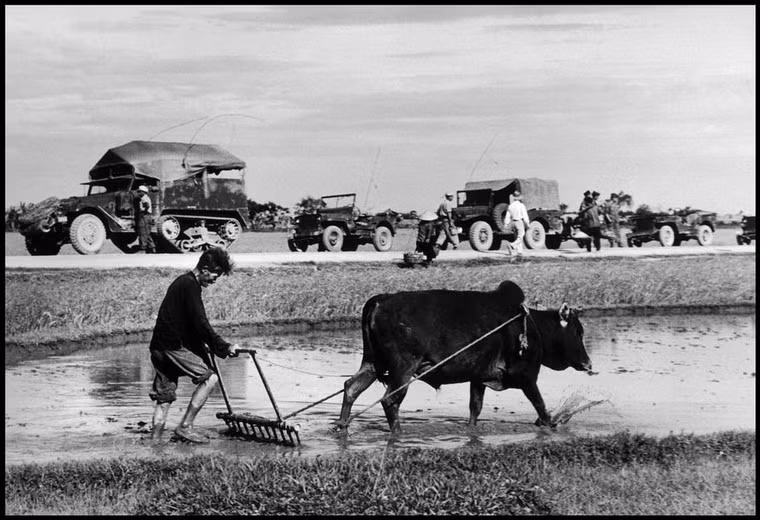 Người nông dân cày ruộng khi đoàn xe quân sự Pháp dừng lại ven đường, 25/5/1954.