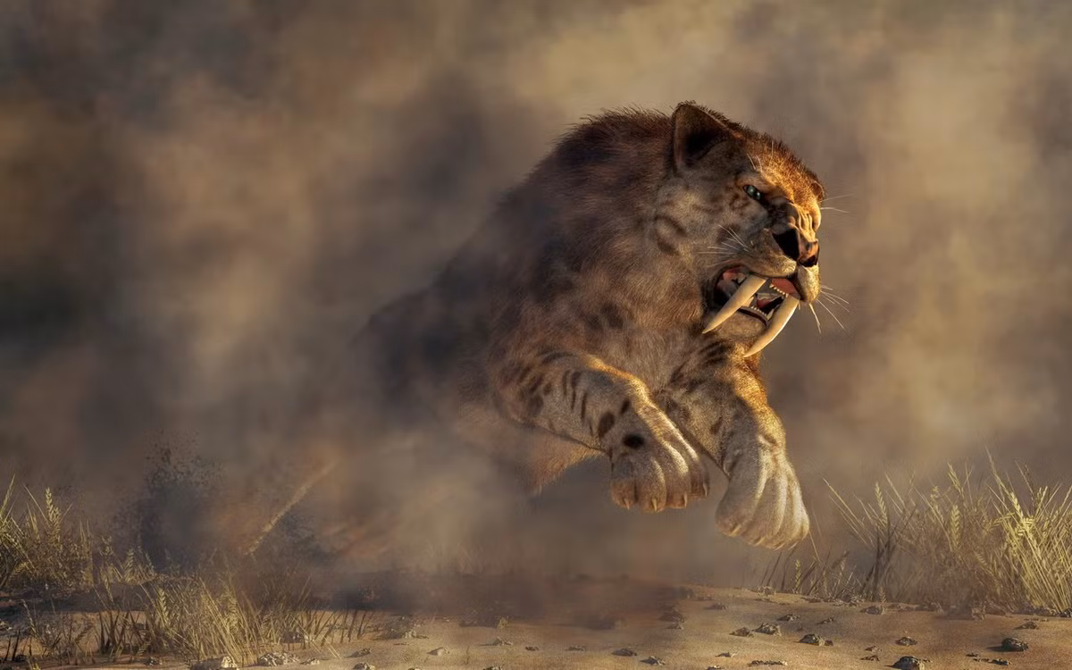 Có ba loài trong chi Hổ răng kiếm được công nhận ngày nay, gồm Smilodon gracilis, Smilodon fatalis và Smilodon populator.