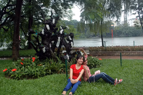 Tạo dáng