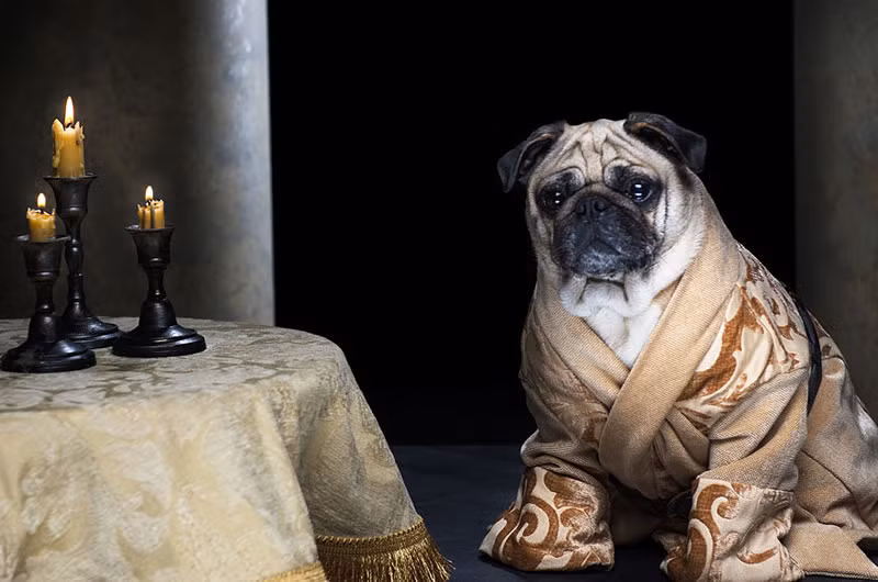 Varys là nhân vật rất thú vị và đáng nể trong suốt phần 2,3 và 4 của loạt phim này vì dù có bạo loạn thay triều đổi đại như thế nào, ông vẫn “vững như kiềng ba chân”
