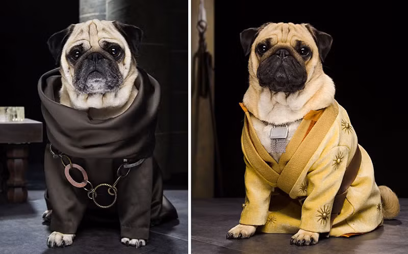 Nhân vật được tìm đến khi cần những lời khuyên Grand Maester Pycelle và Oberyn Martell.