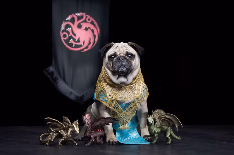 Cô nàng lắm chiêu nhiều trò Daeneys Targaryen từ tay trắng trở thành người đứng đầu cả một bộ tộc.