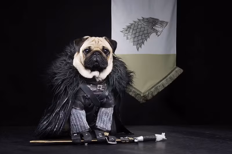 Nhà lãnh đạo mới của Nights Watch, Jon Snooooow.