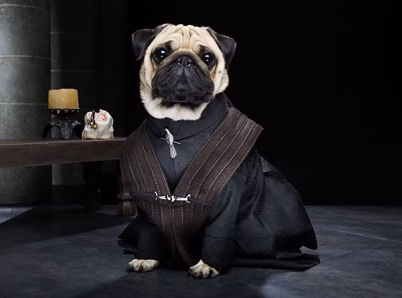 Tuy là nhân vật phụ nhưng Petyr Baelish vẫn là một trong những anh chàng đáng chú ý trong phim.