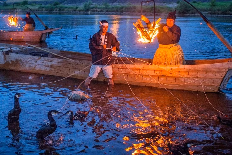 Phương pháp đánh cá bằng chim cốc được người dân địa phương gọi là “Ukai”.