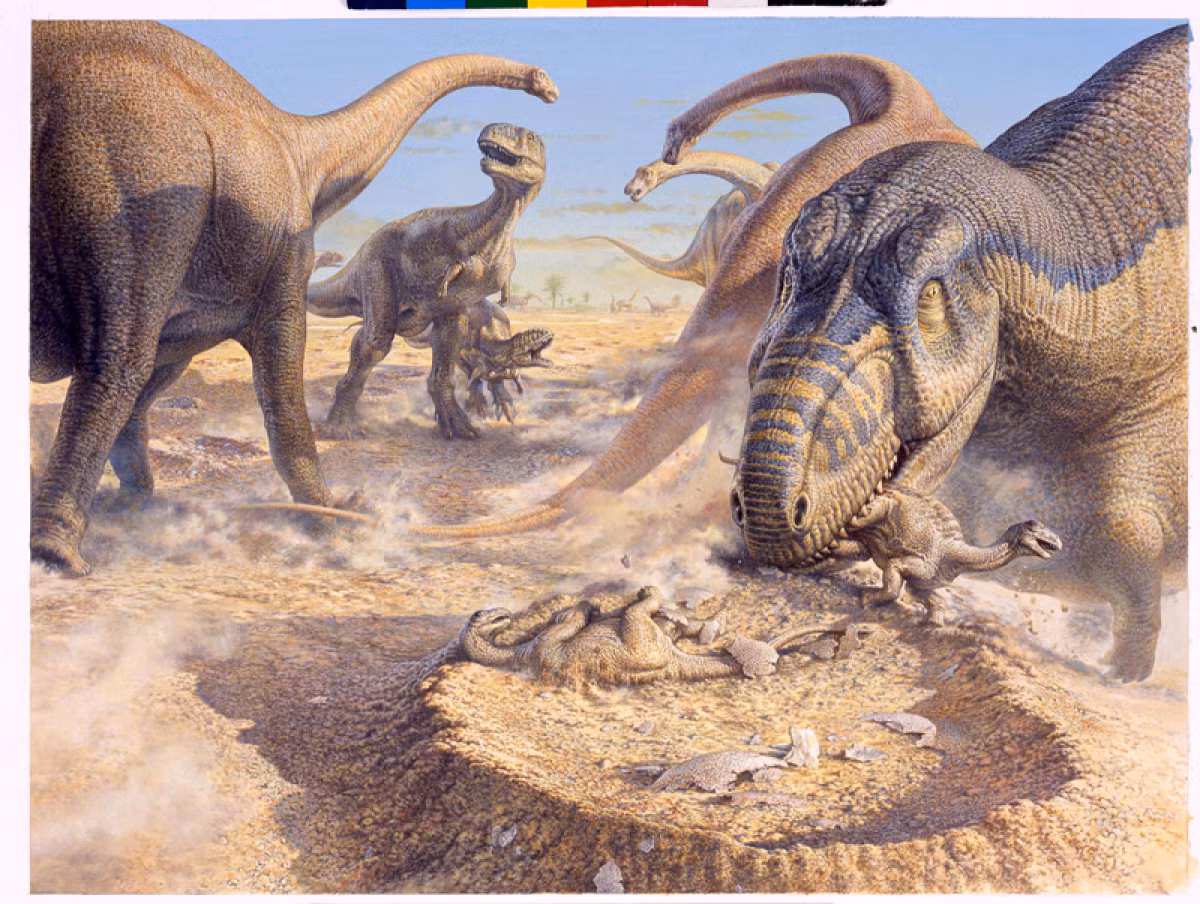Aucasaurus thường đi săn theo "hội". Trong khi bạn đồng hành đang chiến đấu với những con thằn lằn Titanosaur trưởng thành thì một con Aucasaurus sẽ phụ trách việc “xử lý” các con non để làm bữa ăn cho cả đội.