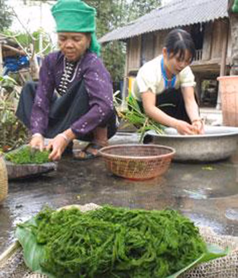 Để có thể ăn những cây rêu bám đầy bùn đất, người ta phải chế biến khá kỳ công. Cụ thể, rêu được đặt lên những tảng đá nhẵn, rộng; dùng thanh tre, gỗ đập và loại bỏ lớp sạn sỏi. Rửa cho đến khi nước trong rồi ủ với muối nhạt từ 10 – 15 phút.