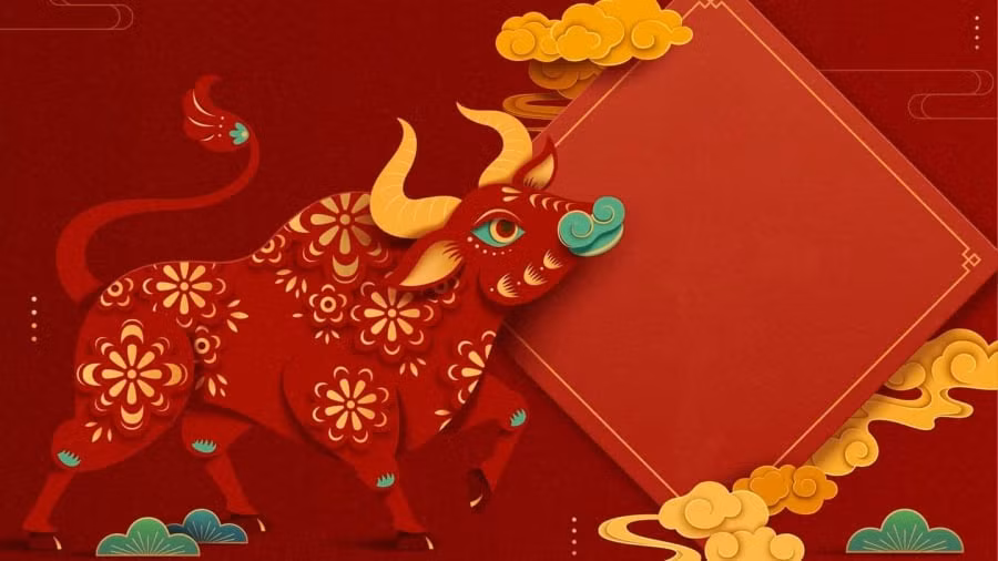 Tài chính khá ảm đạm, chưa có dấu hiệu phát triển nào đáng kể trong tuần này. Bạn cần dành thời gian để nhìn nhận lại những việc mình đã và đang làm, nếu sai ở đâu thì cần nhanh chóng khắc phục, sửa chữa.
