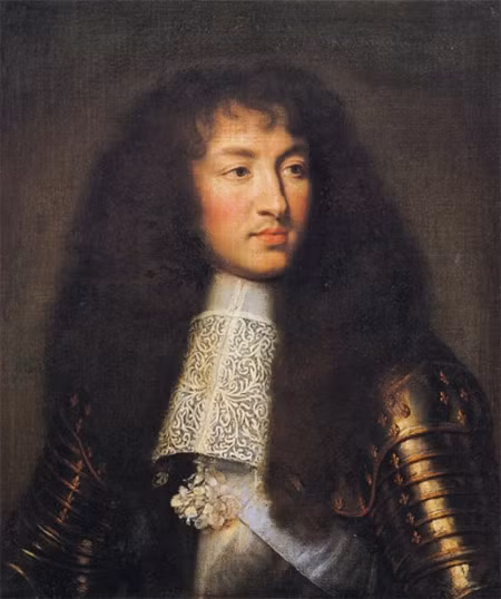 Nạn nhân đầu tiên của The Hope là nhà vận chuyển kim cương người Pháp Jean Baptiste Tavernier. Ông bị một bầy chó hoang ở Ấn Độ xé xác vào năm 1642, ngay sau khi bán nó cho hoàng đế Louis 14 (ảnh). Viên kim cương xanh này sau đó được chế tác thành hình trái tim.