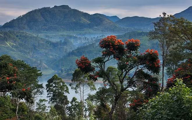 Sri Lanka: Ai cũng biết Sri Lanka đẹp thế nào, nhưng đặc sản ở đây lại là sự nồng ấm thân thiện của người dân.
