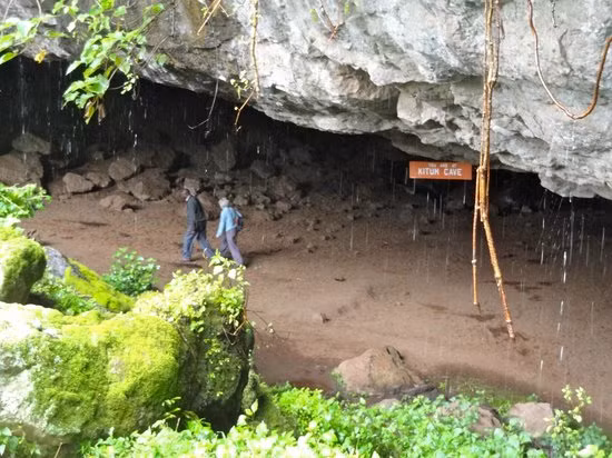 Các nhà khoa học hiện nhận ra rằng khoáng chất mặn có giá trị của hang động, khiến nó trở thành điểm đến không chỉ của voi mà còn cả trâu, linh dương, báo và linh cẩu miền Tây Kenya, đã biến Kitum thành nơi ươm mầm các bệnh lây truyền từ động vật sang người.