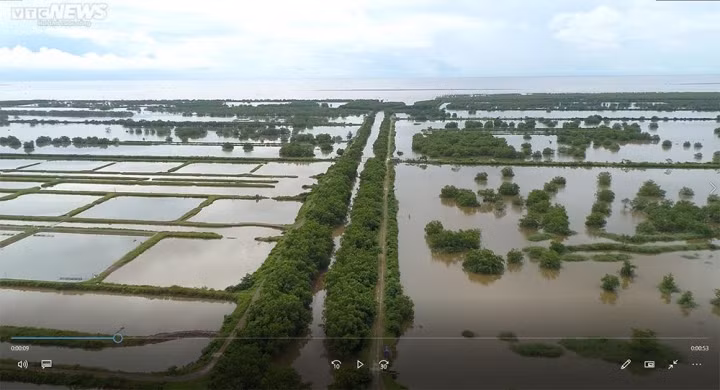 Gan 400 ha dat bi bo quen o Hai Phong: Xac dinh loat sai pham cua chu dau tu