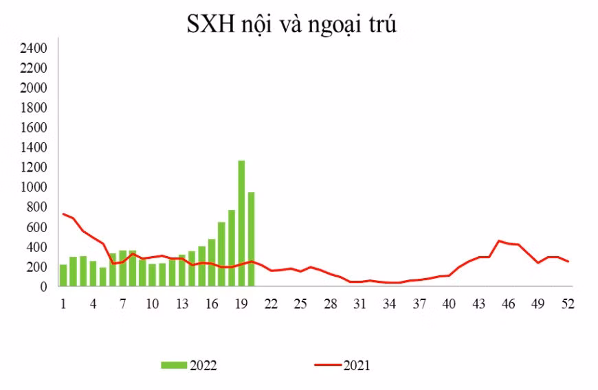 79 o dich sot xuat huyet moi phat sinh o TP HCM