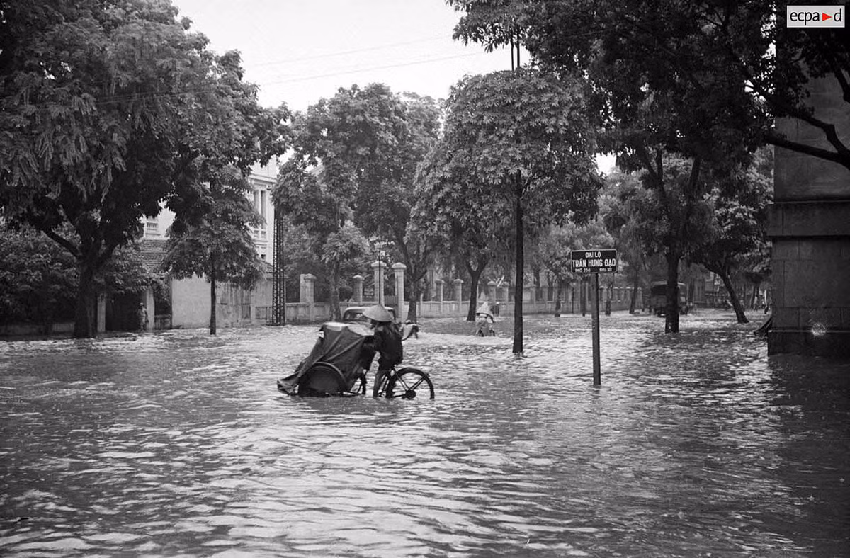 Người lái xích lô mưu sinh trên đại lộ Trần Hưng Đạo. Ảnh: Aubin/ECPAD/Défense.
