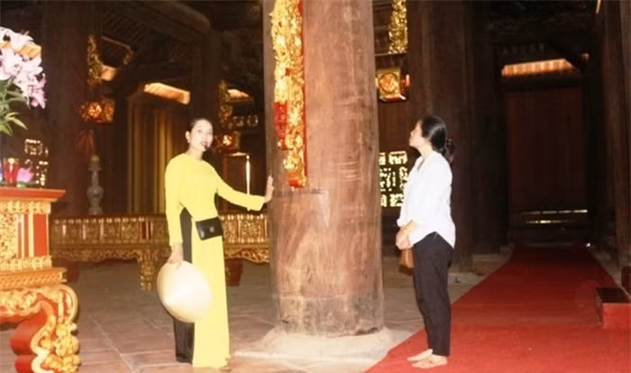 Bi an 'cay lim hien than' 600 tuoi canh long sang vua Le-Hinh-2