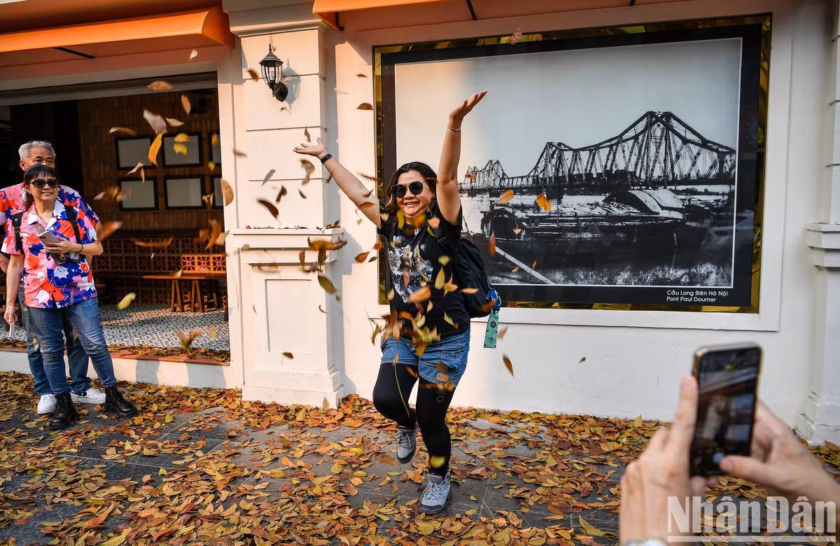 Nữ du khách người Singapore chia sẻ: "Thật hạnh phúc khi tôi có cảm nhận như đang đắm chìm trong mùa thu lá vàng tại châu Âu".